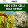 kodo vermicelli - Luckme Enterprises