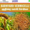 Barnyard vermicelli - Luckme Enterprises