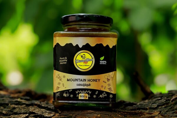 Mountain Honey Bees