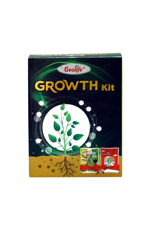 Geolife Growth Kit (Vigore 250g + Tabsil 200g)