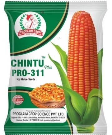 Chintu Plus PRO-311 (Maize Seeds) (4kg)