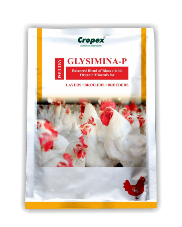 Cropex Glysimina-P (1 Kg)