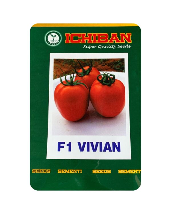 F1 Vivan (10gm Pouch)