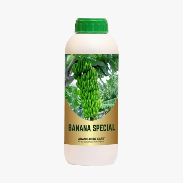 Banana Special (100ml)