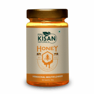 Kisan Natural Honey (350gm)