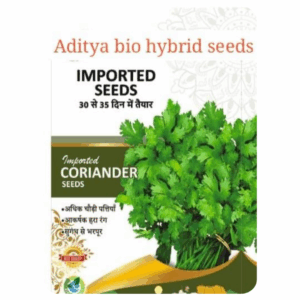 Imported Hybrid Coriander Seeds (1kg)