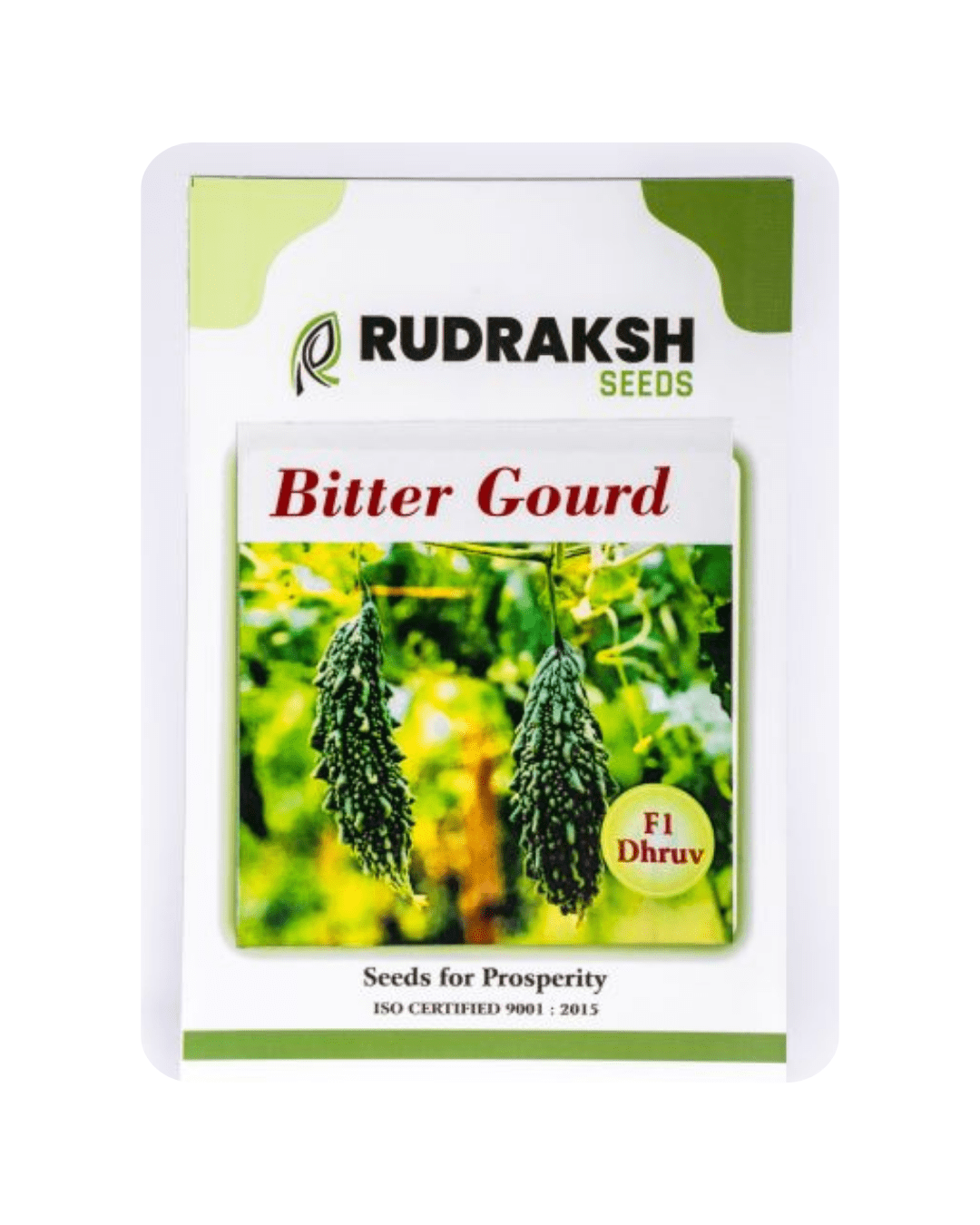 RUDRAKSH F1 DHRUV BITTERGOURD (MEDIUM) SEEDS (50gms)
