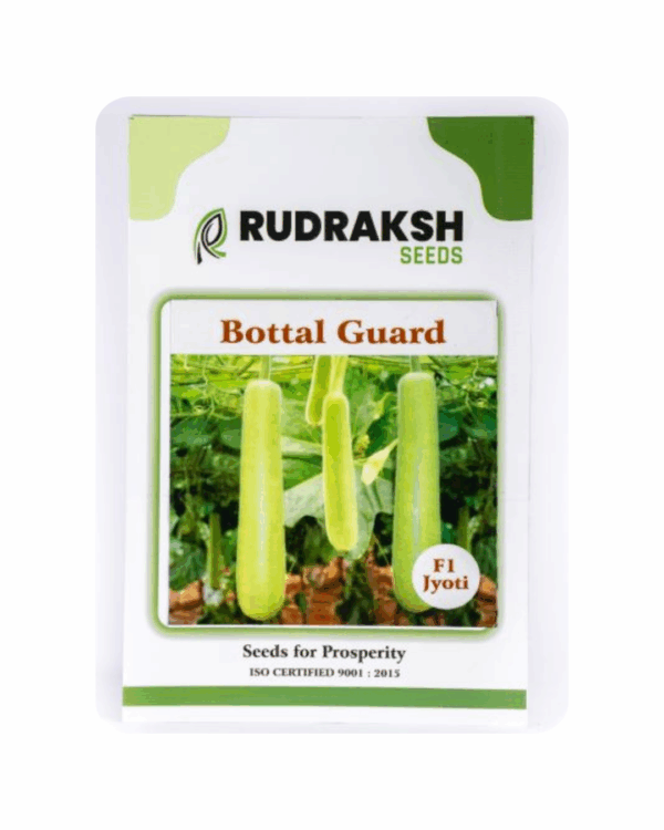 RUDRAKSH F1 JYOTI BOTTLE GOURD (CYLINDRICAL) SEEDS (50gms)