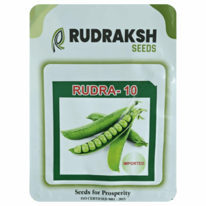 RUDRAKSH GREEN PEA (RUDRA 10) (500gms)
