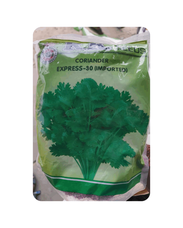 Ravi Coriander Seeds (1 Kg)