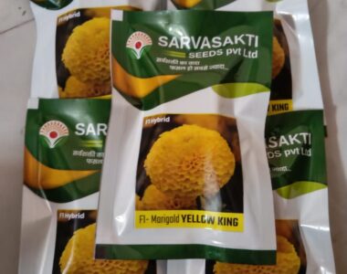 Hybrid Marigold seed