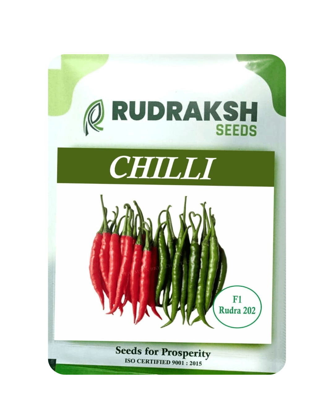 RUDRAKSH F1 RUDRA 202 CHILLI SEEDS (10 gms)