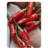 Chilli Bird Eye 1inch Long (20 - 30 Seeds)