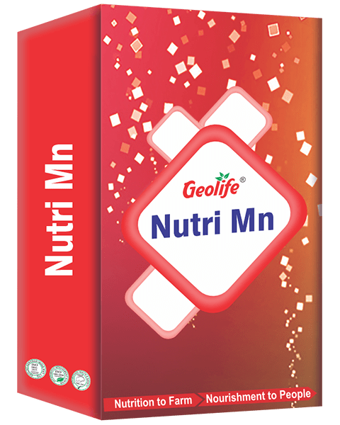Geo Life Nano Mn Micro Nutrient (250gms)
