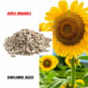 SUNFLOWER SEEDS