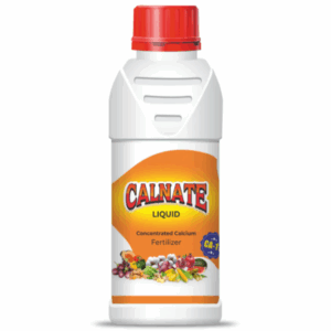 Calnate CA 11 (1 Ltr)