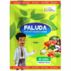 Faluda (12 Gm)