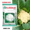 Rajkumar Cauliflower F1 Hybrid Seed (summer star) (50gm)