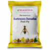 Bactrocera Dorsailas Fruit Fly Lure ( Pack of 5 )