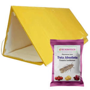 Delta Trap & Tuta Absoluta - Tomato Leaf Miner ( Pack of 5 )