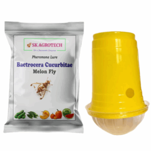 Bactrocera Cucurbitae Fruit Trap & Melon Fly Lure ( Pack of 5 )