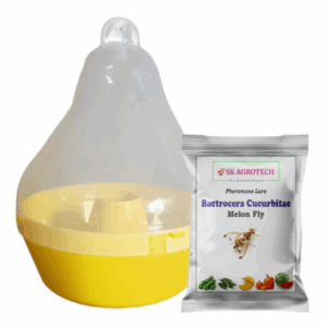 Bactrocera Cucurbitae Mac Phil Trap & Melon Fly Lure ( Pack of 5)