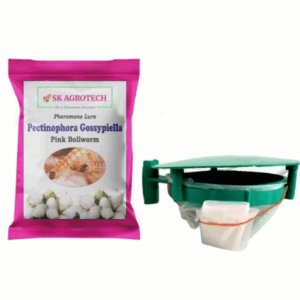 Pectinophora Gossypiella Pink Bollworm Pheromone Lure & Funnel Trap ( Pack of 5 )