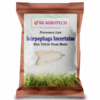Scirpophaga Incertulas Pheromone Lure ( Rice Yellow Stem Borer ) ( Pack of 5 )