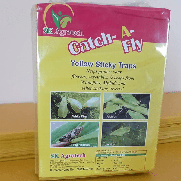 Yellow Sticky Insect Trap Pack of 25 Sheet ( Pack of 1 )