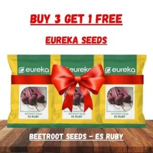 Beetroot ES Ruby – Improved (50gm) | Pack of 3 | Buy 3 Get 1 Free