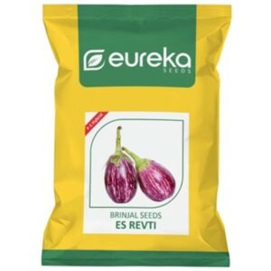 Brinjal ES Revti - F1 Hybrid ( 10gm )