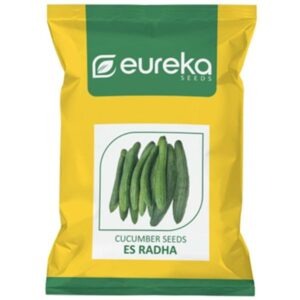 Cucumber ES Radha - Improved ( 25gm )