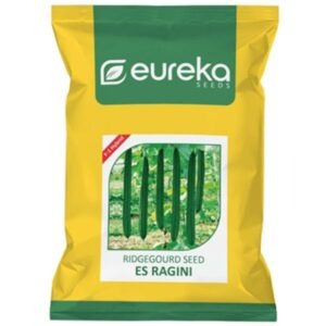 Ridgegourd ES Ragini - F1 Hybrid ( 25gm )