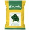 Spinach ES Evergreen - Improved ( 50gm )
