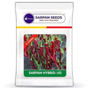 Sarpan - 102 ( Dabbi Byadgi Chilli seeds ) 10gm