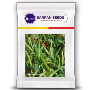 Sarpan - Avinash (upright chilli) 10gm