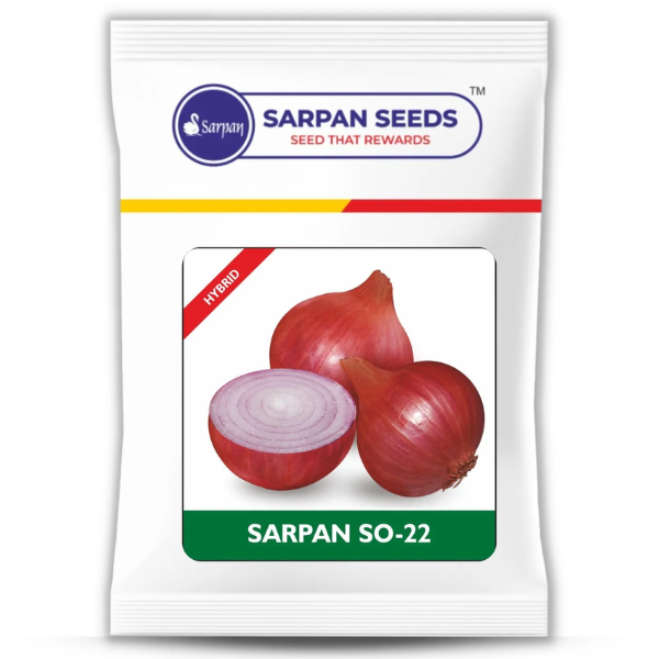 Sarpan Onion-22 ( 500gms )