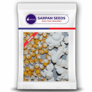 Sarpan Pop Corn-101