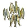Sala (Sardine) Dry Fish (250gm)