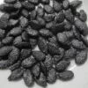 KMV Birken (10Seeds)