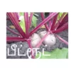 Beetroot (100 seeds)