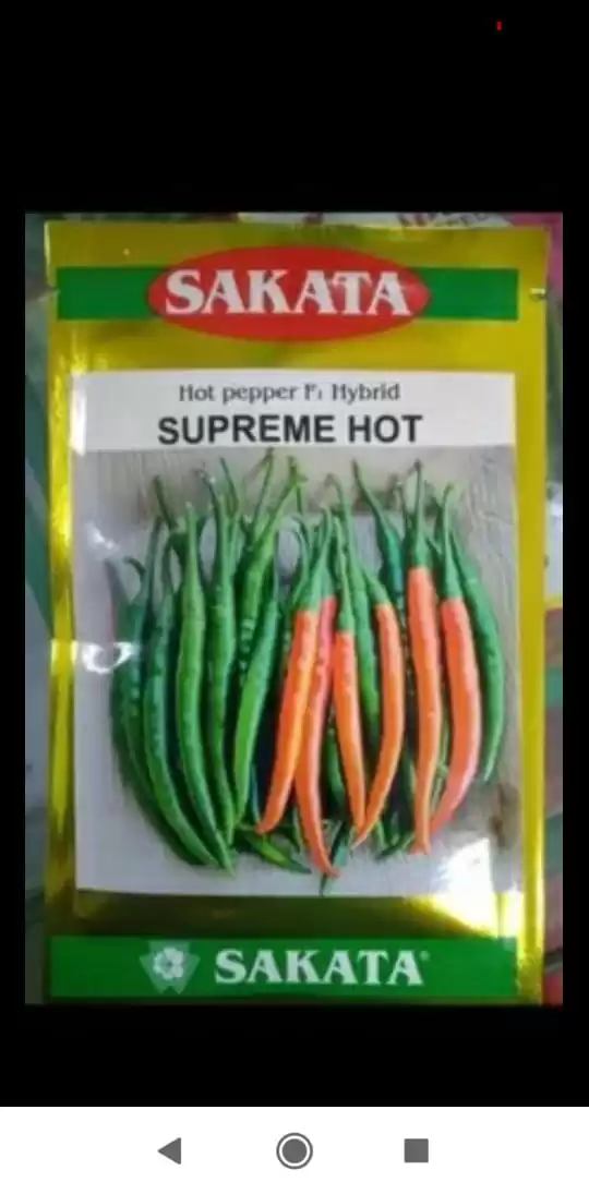 Hot Pepper F1 Hybrid Supreme Hot ( 10gm )