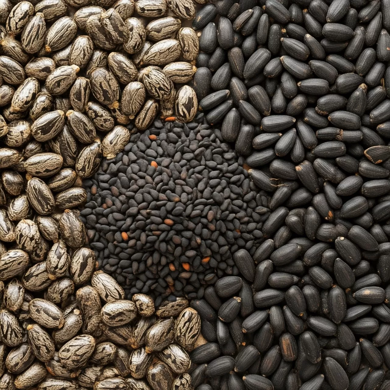 Seaseme Seeds (Per Kg)