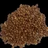 Agathi Seeds (Per Kg)