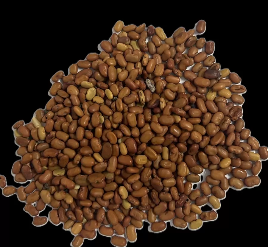 Agathi Seeds (Per Kg)