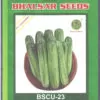 Cucumber Hybrid BSCU-23 Seeds (10gm)