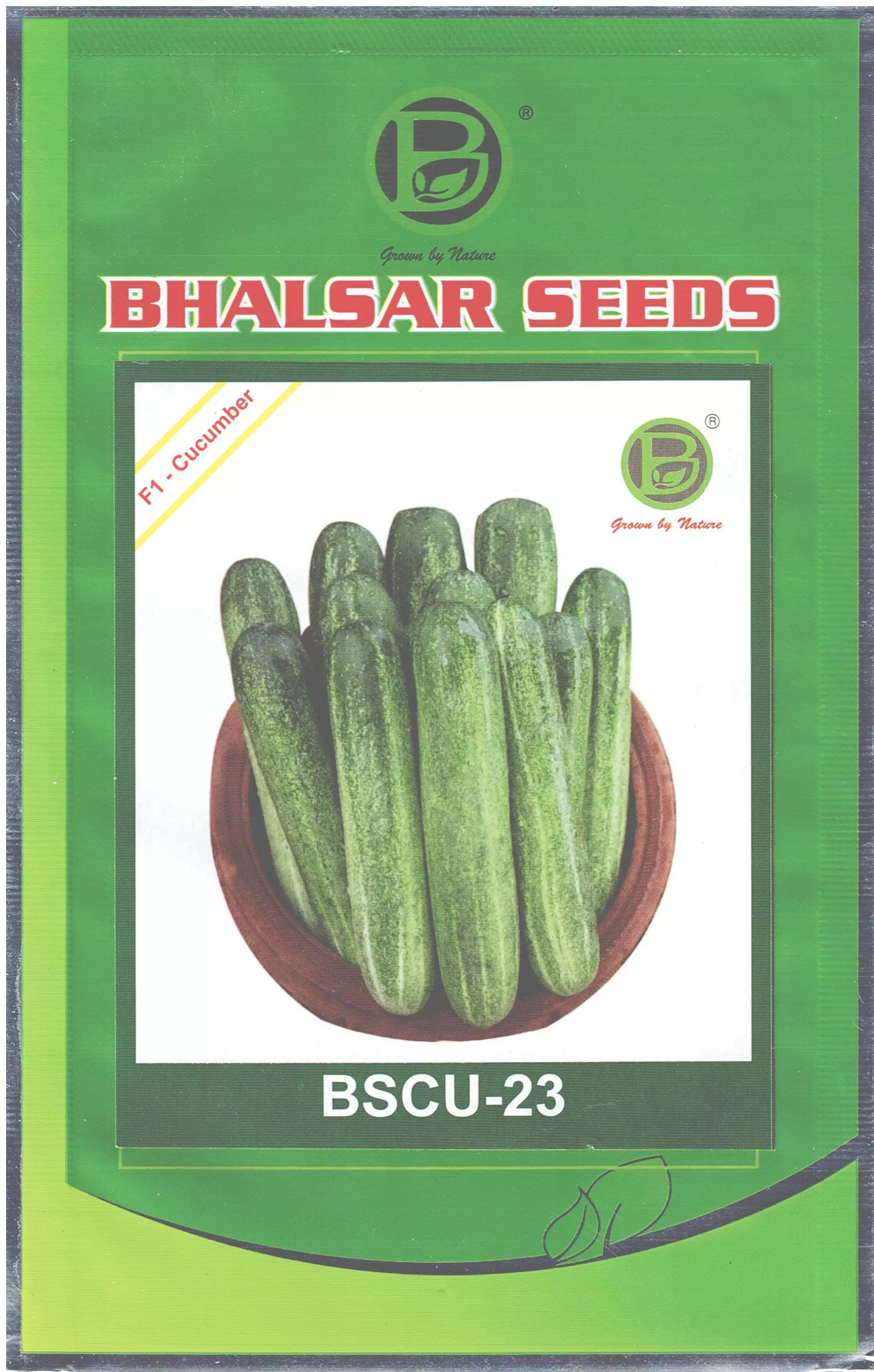 Cucumber Hybrid BSCU-23 Seeds (10gm)