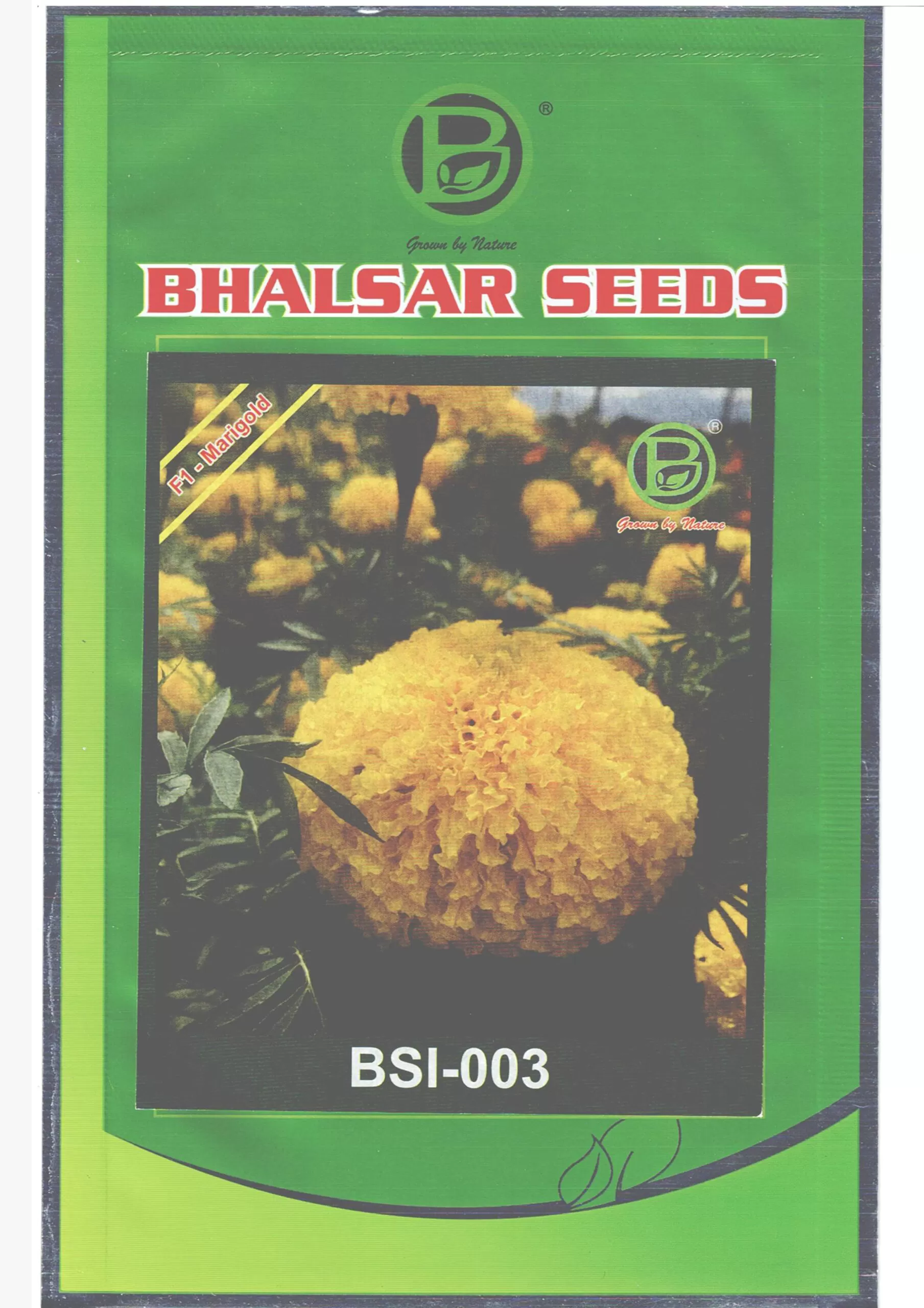 MARIGOLD HYBRID BSI-003 SEEDS (1000 Seeds)