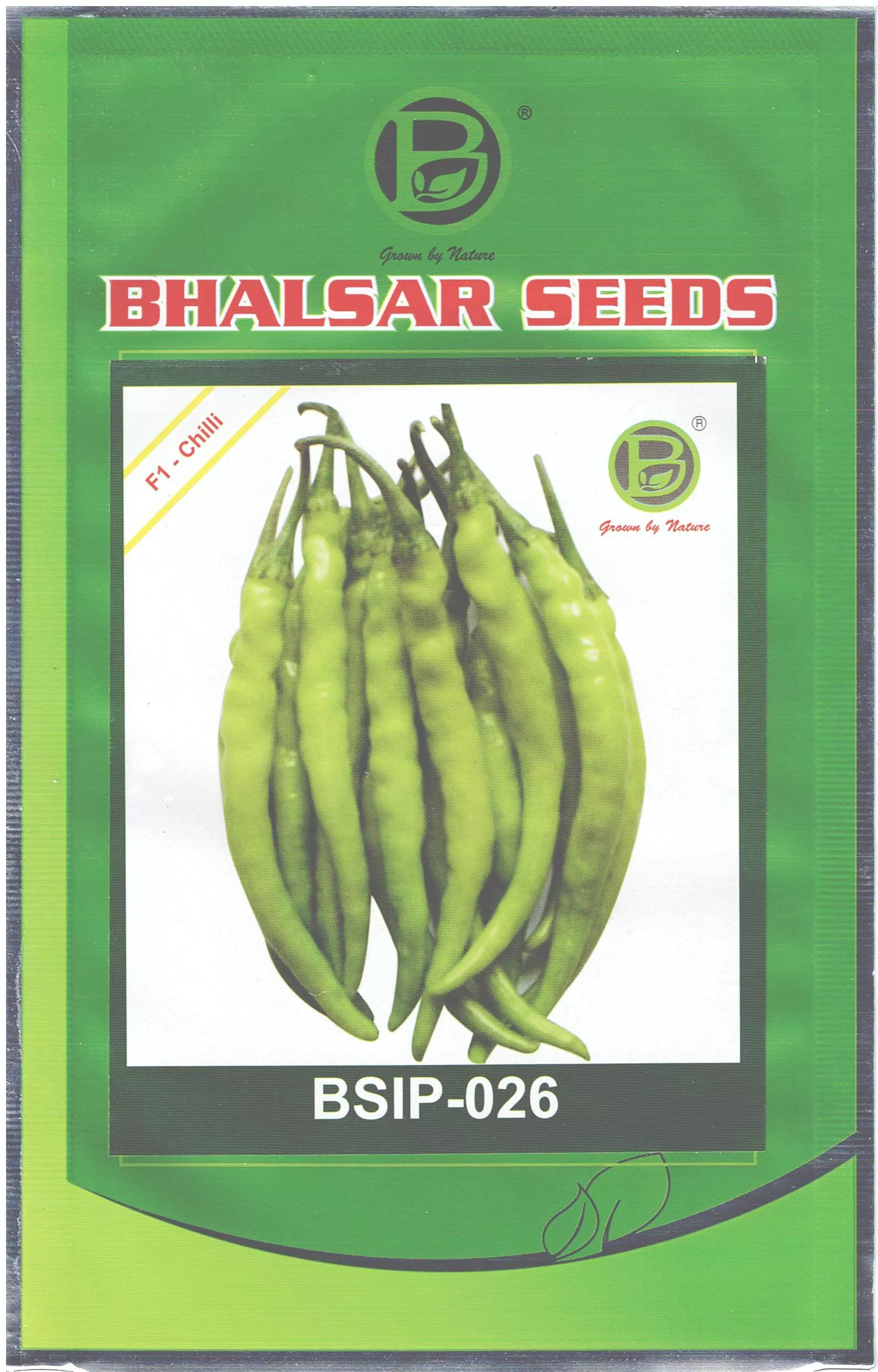 Chilli Hybrid BSIP-026 Seeds (10gm)