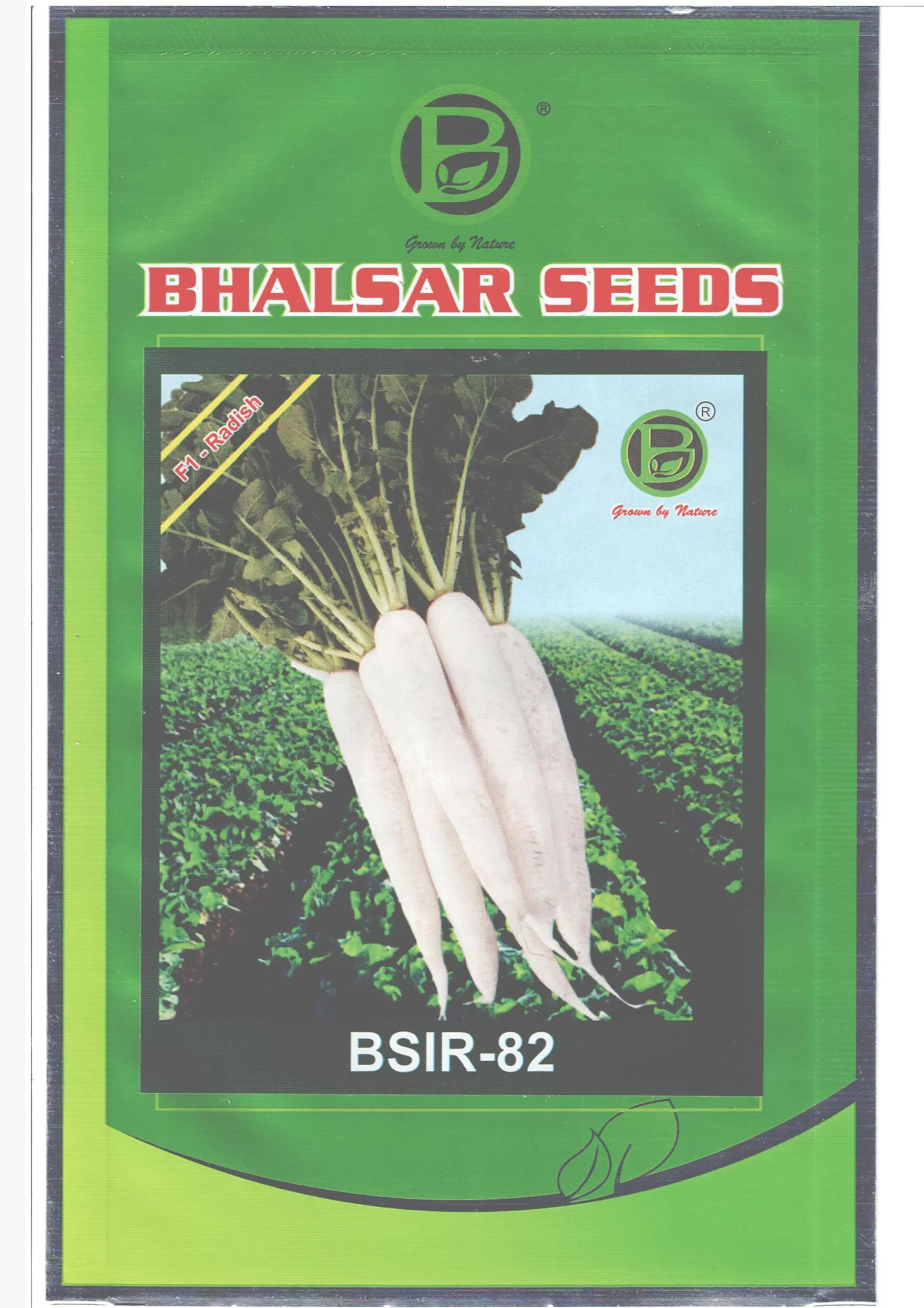 Radish Hybrid BSIR--82 Seeds (100gm)